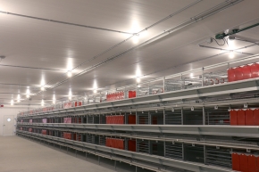 Kodiak in egg production facility